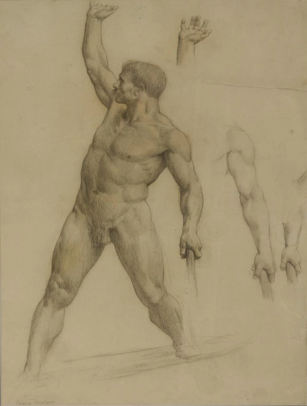 Studio di nudo di uomo